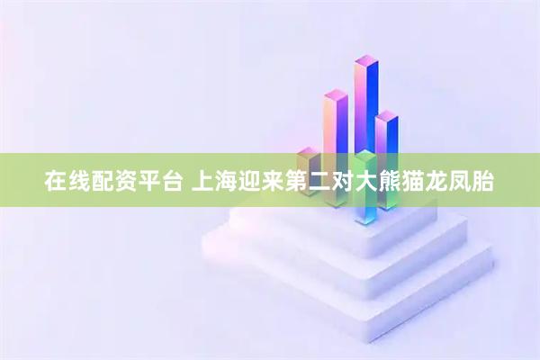 在线配资平台 上海迎来第二对大熊猫龙凤胎
