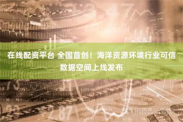 在线配资平台 全国首创！海洋资源环境行业可信数据空间上线发布