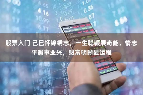 股票入门 己巳怀锦绣志，一生聪颖展奇能，情志平衡事业兴，财富明晰显运程